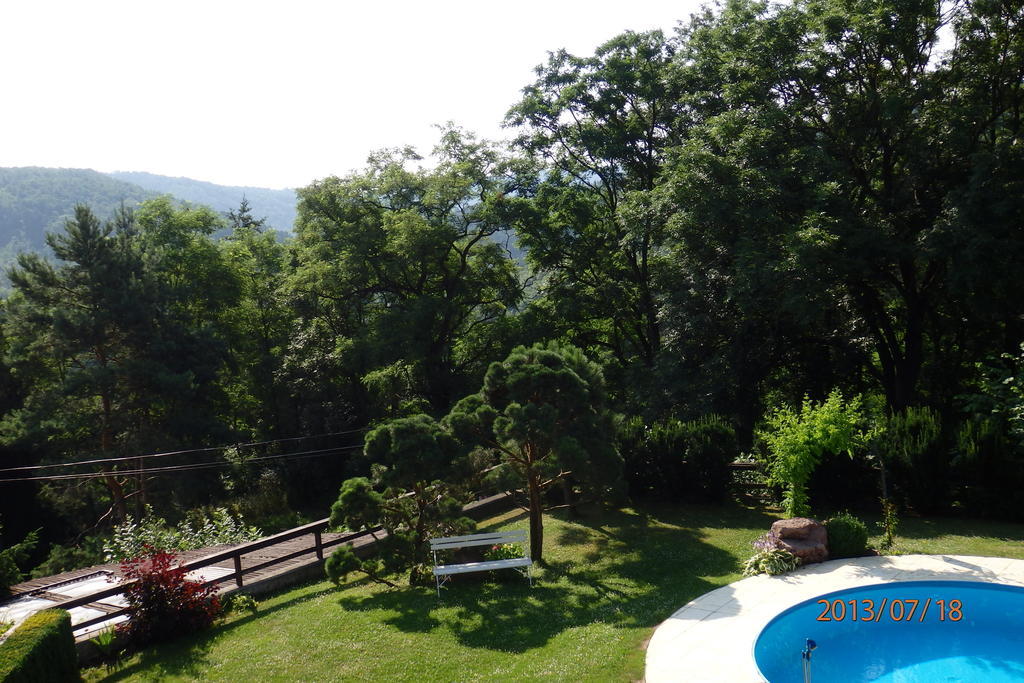 Villa Blanka Horní Podkozí Exteriér fotografie