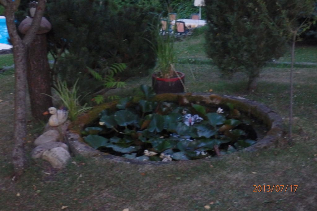 Villa Blanka Horní Podkozí Exteriér fotografie