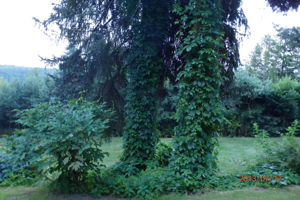 Villa Blanka Horní Podkozí Exteriér fotografie