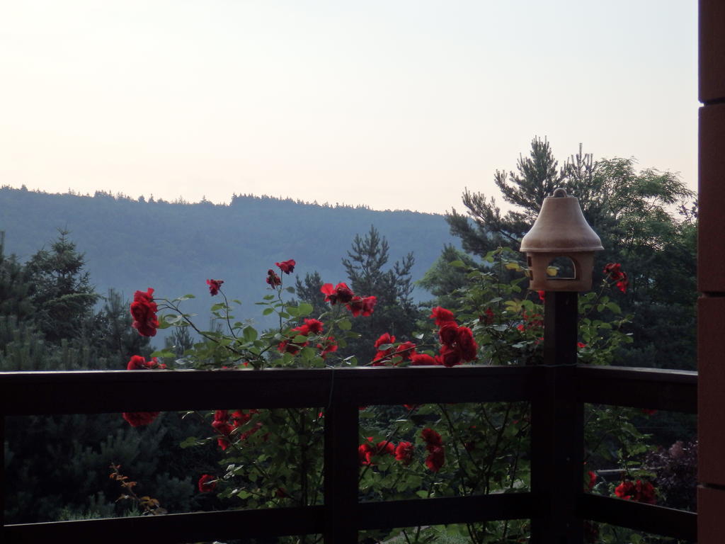 Villa Blanka Horní Podkozí Exteriér fotografie