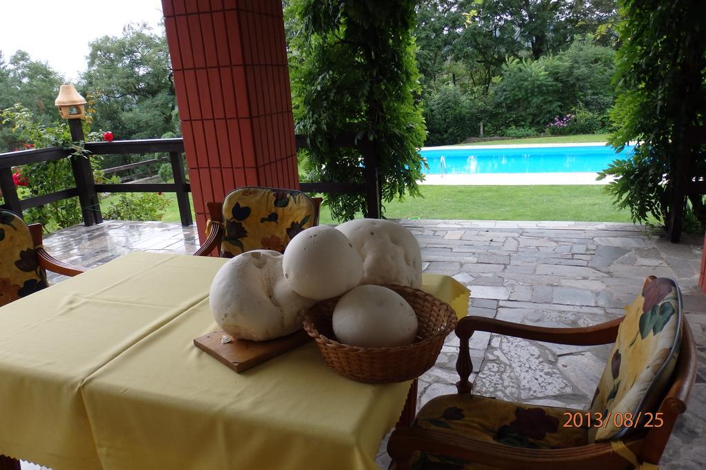 Villa Blanka Horní Podkozí Exteriér fotografie