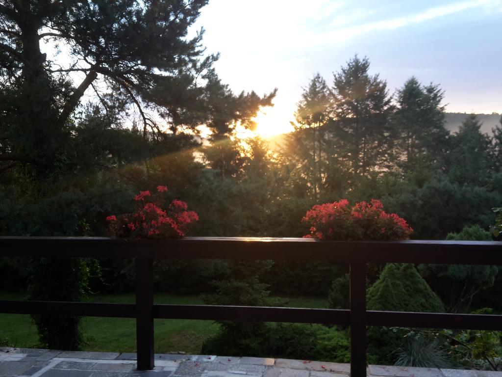 Villa Blanka Horní Podkozí Exteriér fotografie