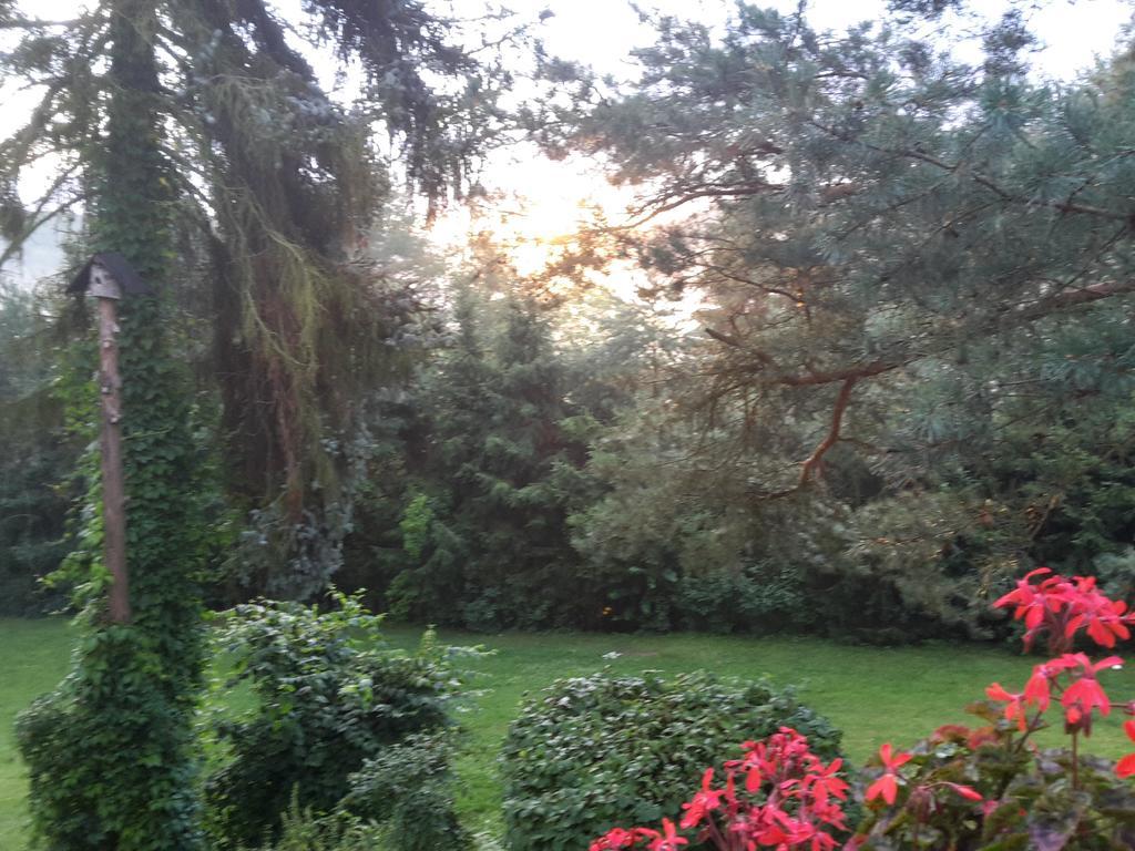 Villa Blanka Horní Podkozí Exteriér fotografie