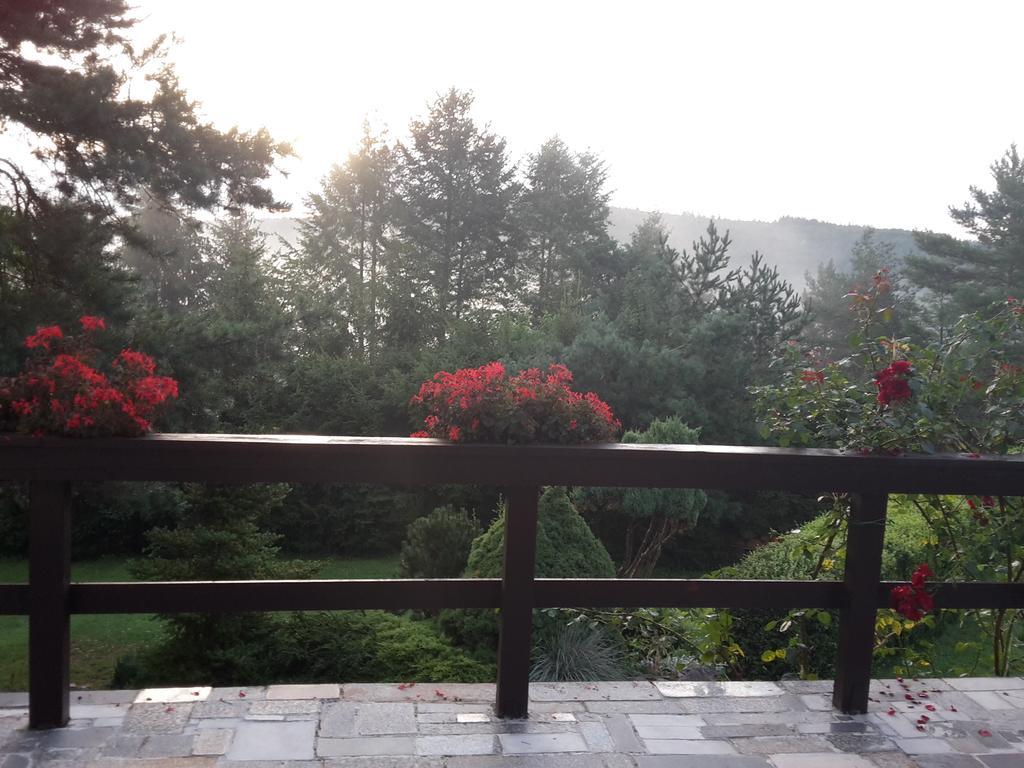 Villa Blanka Horní Podkozí Exteriér fotografie