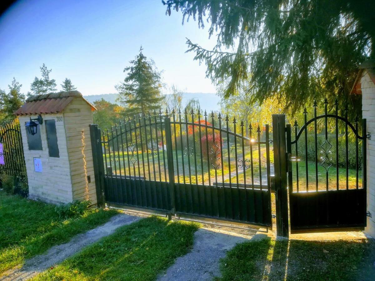 Villa Blanka Horní Podkozí Exteriér fotografie