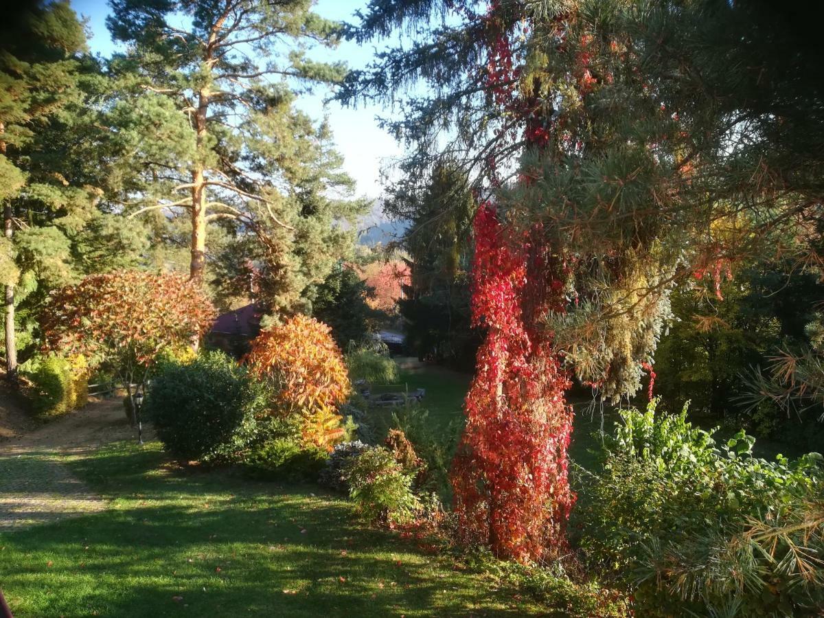 Villa Blanka Horní Podkozí Exteriér fotografie
